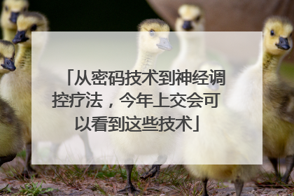 从密码技术到神经调控疗法，今年上交会可以看到这些技术