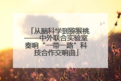 从脑科学到猕猴桃——中外联合实验室奏响“一带一路”科技合作交响曲
