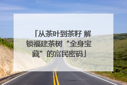 从茶叶到茶籽 解锁福建茶树“全身宝藏”的富民密码