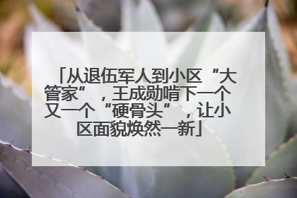 从退伍军人到小区“大管家”，王成勋啃下一个又一个“硬骨头”，让小区面貌焕然一新