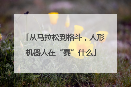 从马拉松到格斗，人形机器人在“赛”什么