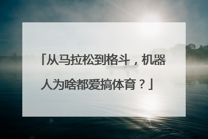 从马拉松到格斗，机器人为啥都爱搞体育？