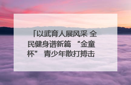以武育人展风采 全民健身谱新篇 “金童杯” 青少年散打搏击邀请赛圆满落幕