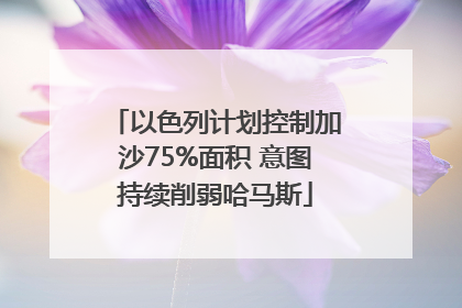 以色列计划控制加沙75%面积 意图持续削弱哈马斯