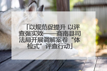 以规范促提升 以评查强实效——商南县司法局开展调解案卷“体检式”评查行动