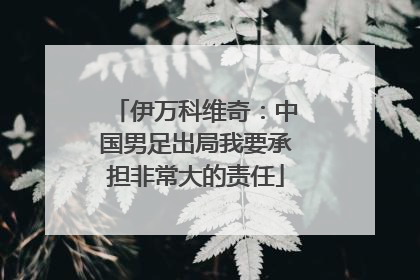 伊万科维奇：中国男足出局我要承担非常大的责任