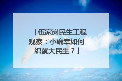 伍家岗民生工程观察：小确幸如何织就大民生？