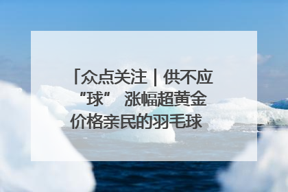 众点关注｜供不应“球” 涨幅超黄金 价格亲民的羽毛球为何身价飞涨？