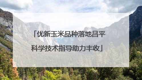 优新玉米品种落地昌平 科学技术指导助力丰收