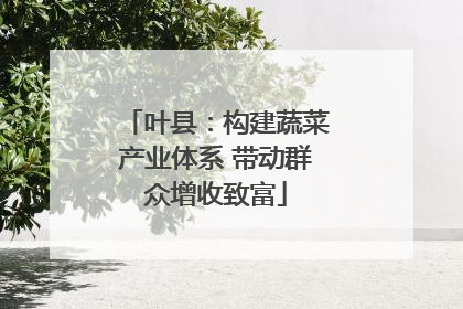 叶县：构建蔬菜产业体系 带动群众增收致富