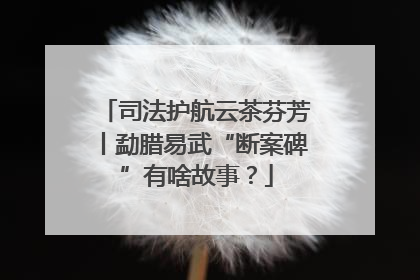 司法护航云茶芬芳丨勐腊易武“断案碑”有啥故事？
