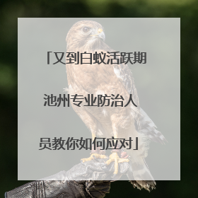 又到白蚁活跃期 池州专业防治人员教你如何应对
