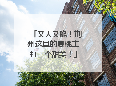 又大又脆！荆州这里的夏桃主打一个甜美！