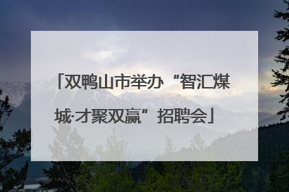 双鸭山市举办“智汇煤城·才聚双赢”招聘会