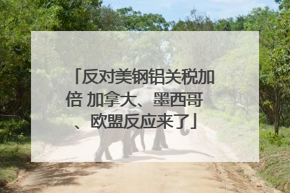 反对美钢铝关税加倍 加拿大、墨西哥、欧盟反应来了