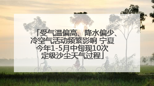 受气温偏高、降水偏少、冷空气活动频繁影响 宁夏今年1-5月中旬现10次定级沙尘天气过程