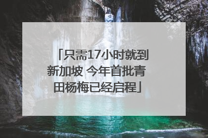 只需17小时就到新加坡 今年首批青田杨梅已经启程