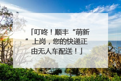 叮咚！顺丰“萌新”上岗，您的快递正由无人车配送！