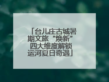 台儿庄古城暑期文旅“焕新” 四大维度解锁运河夏日奇遇