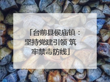 台前县侯庙镇：坚持党建引领 筑牢禁毒防线