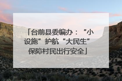 台前县委编办：“小设施”护航“大民生” 保障村民出行安全