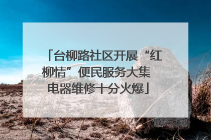 台柳路社区开展“红柳情”便民服务大集 电器维修十分火爆