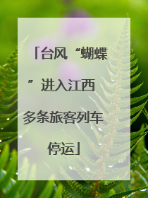 台风“蝴蝶”进入江西 多条旅客列车停运