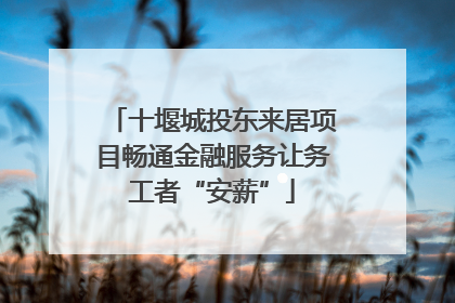 十堰城投东来居项目畅通金融服务让务工者“安薪”