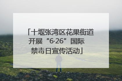 十堰张湾区花果街道开展“6·26”国际禁毒日宣传活动
