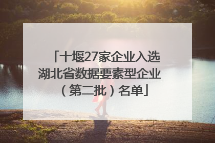 十堰27家企业入选湖北省数据要素型企业（第二批）名单