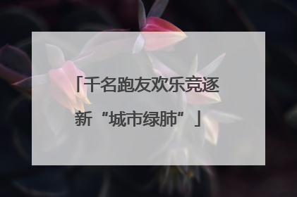 千名跑友欢乐竞逐新“城市绿肺”