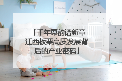 千年栗韵谱新章 迁西板栗高质发展背后的产业密码