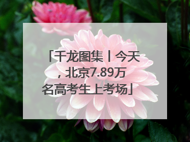 千龙图集丨今天，北京7.89万名高考生上考场
