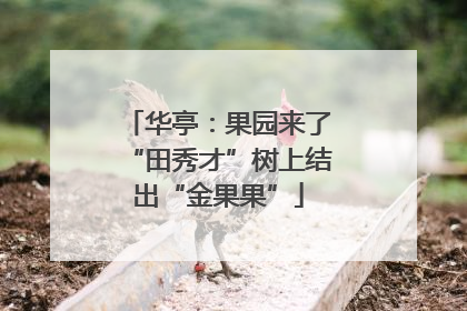 华亭：果园来了“田秀才”树上结出“金果果”