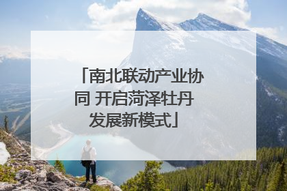 南北联动产业协同 开启菏泽牡丹发展新模式