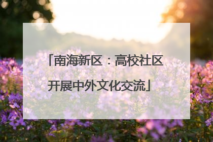 南海新区：高校社区开展中外文化交流