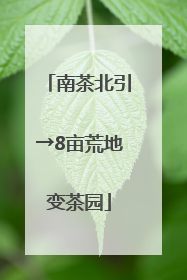 南茶北引→8亩荒地变茶园