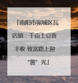 南阳市宛城区瓦店镇：千亩土豆喜丰收 致富路上迎“薯”光