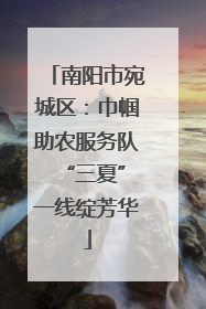 南阳市宛城区：巾帼助农服务队 “三夏”一线绽芳华