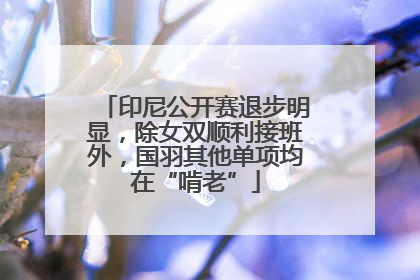 印尼公开赛退步明显，除女双顺利接班外，国羽其他单项均在“啃老”