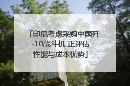 印尼考虑采购中国歼-10战斗机 正评估性能与成本优势
