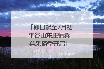 即日起至7月初 平谷山东庄镇桑葚采摘季开启