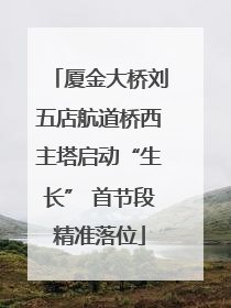 厦金大桥刘五店航道桥西主塔启动“生长” 首节段精准落位