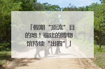 假期“顶流”目的地！福建的博物馆持续“出圈”