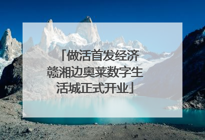 做活首发经济 赣湘边奥莱数字生活城正式开业