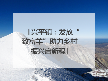 兴平镇：发放“致富羊”助力乡村振兴启新程