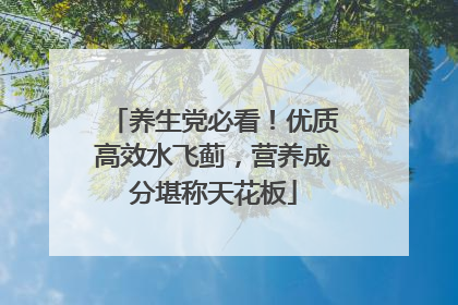 养生党必看！优质高效水飞蓟，营养成分堪称天花板