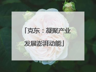 克东：凝聚产业发展澎湃动能