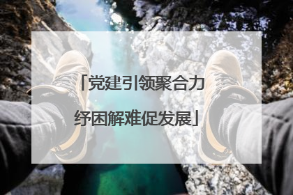 党建引领聚合力 纾困解难促发展