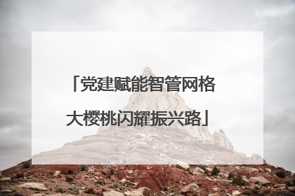 党建赋能智管网格 大樱桃闪耀振兴路